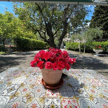 Rosy Apartment - Levanto, 5 Terre Bagian luar foto