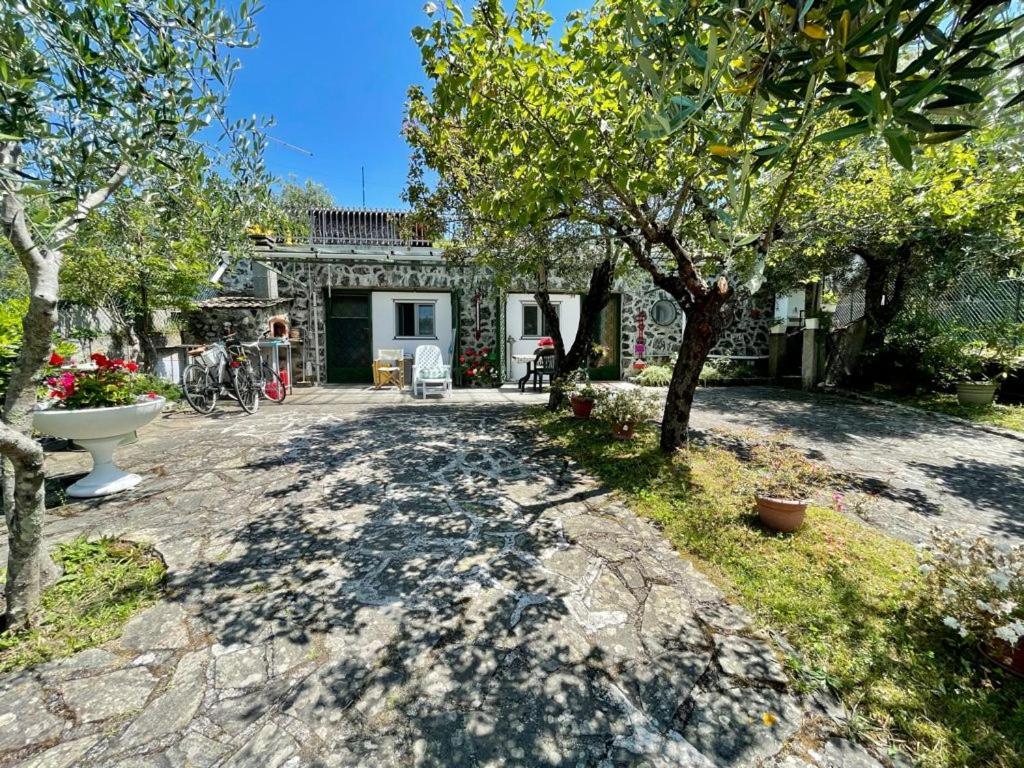 Rosy Apartment - Levanto, 5 Terre Bagian luar foto