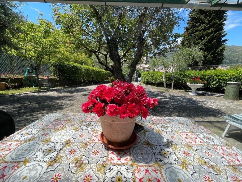 Rosy Apartment - Levanto, 5 Terre Bagian luar foto