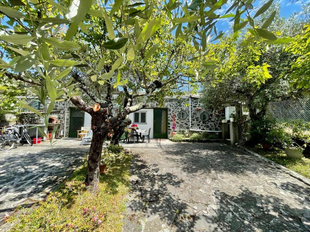 Rosy Apartment - Levanto, 5 Terre Bagian luar foto