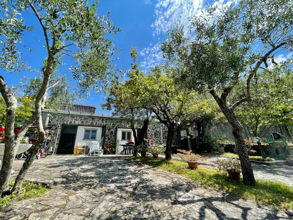 Rosy Apartment - Levanto, 5 Terre Bagian luar foto
